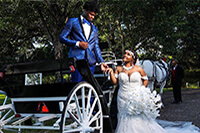 Man and Women just married getting out of a horse and buggy ride.